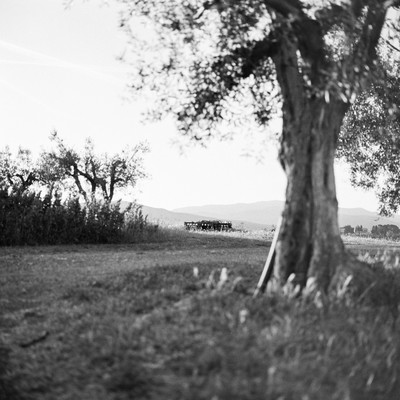 By the barn. Tuscan landscape, 2022. / Landscapes / landscape,travel photography,120 film,morning mood,tuscany,monochrome