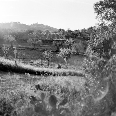 View on Casale Marittimo. Tuscan landscape, 2022. / Landscapes / travel photography,120 film,morning mood,landscape,tuscany,monochrome