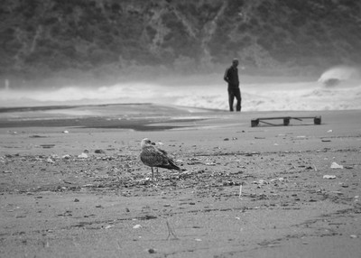 » #2/4 « / Beach in black and white / Blog-Beitrag von <a href="https://strkng.com/de/fotograf/benaissa+ilyes/">Fotograf Benaissa Ilyes</a> / 11.07.2022 11:29