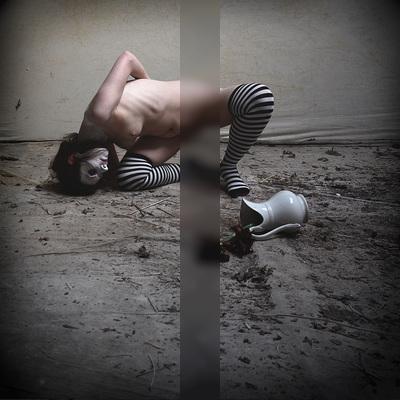 das Ende der Hippeastrum (The end of Hippeastrum) / Performance  photography by Photographer TOR 61 ★2 | STRKNG