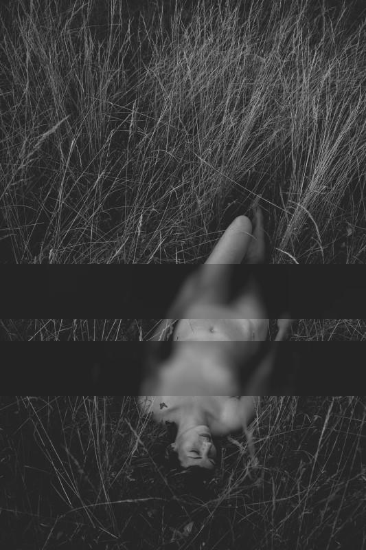 Schmetterling in der Wiese / Nude  Fotografie von Model Cora Cassandra Klee ★2 | STRKNG