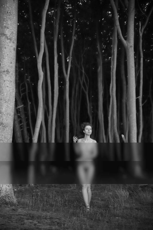 Im Geisterwald / Nude  Fotografie von Fotograf dieterkit ★12 | STRKNG