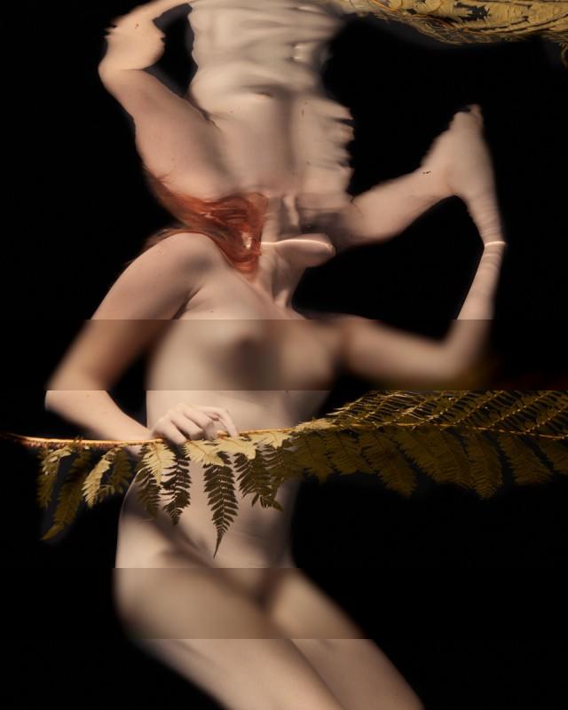 The fern / Nude  Fotografie von Fotograf Jose G Cano ★10 | STRKNG
