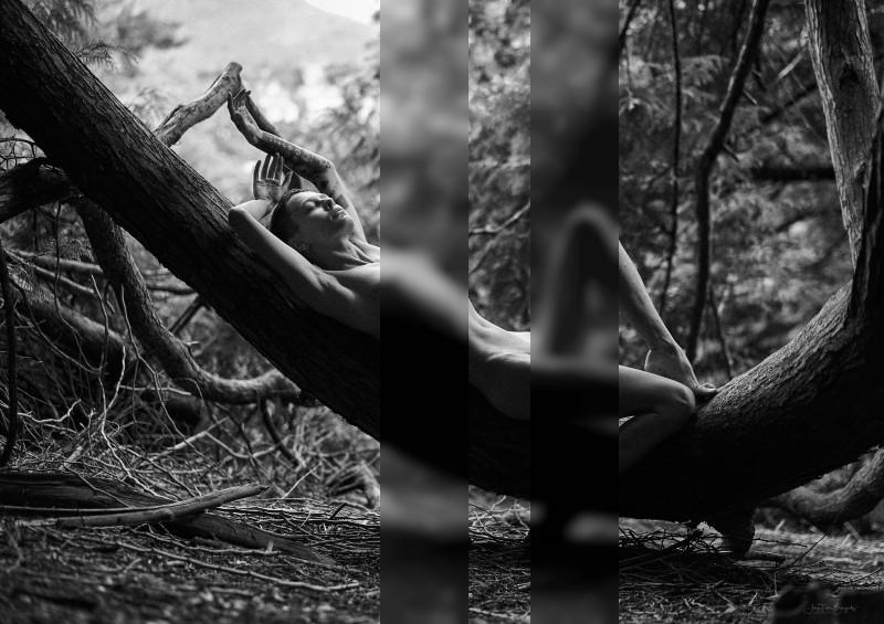 Irina on cedar bough / Nude  Fotografie von Fotograf J. Bongartz ★1 | STRKNG