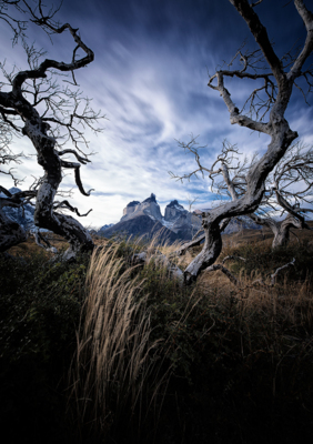 guardians / Landscapes  photography by Photographer felixinden ★10 | STRKNG