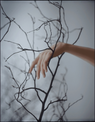 . / Fine Art  Fotografie von Fotografin Nanne Springer Photography ★16 | STRKNG