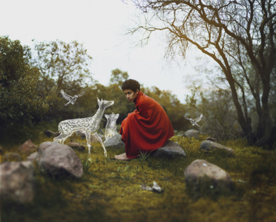 Tales  the enchanted forest / Fine Art  photography by Photographer Ronny ★11 | STRKNG