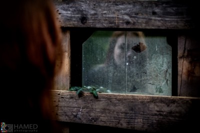 ghost in mirror / Fine Art  Fotografie von Fotograf hamedphotography ★1 | STRKNG