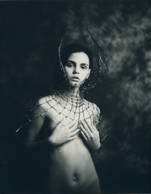 Impossible 8x10 / Instant-Film  Fotografie von Fotograf Herr Merzi ★37 | STRKNG