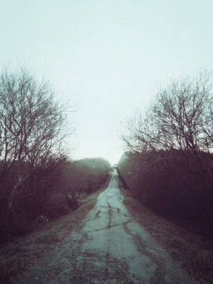 Cold / Natur  Fotografie von Fotograf Daniel Santalla ★3 | STRKNG