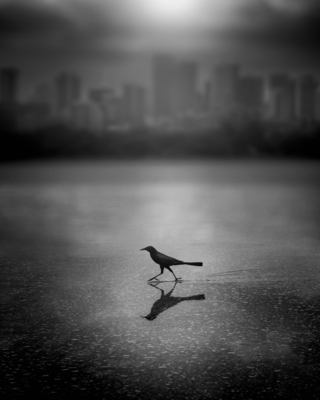 Urban Flyer / Konzeptionell  Fotografie von Fotograf Dennis Ramos ★30 | STRKNG