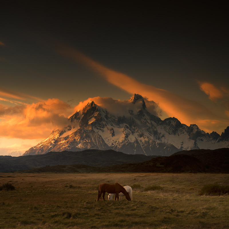 Chile cheese to go - &copy; Andy Lee | Landscapes