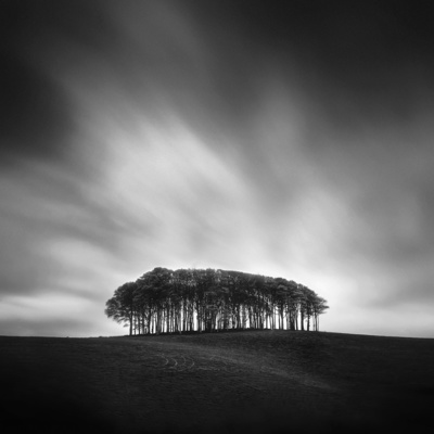 Bunch of Trees / Landscapes  Fotografie von Fotograf Andy Lee ★19 | STRKNG