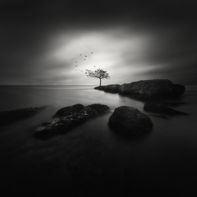 ©Yucel Basoglu / Schwarz-weiss  Fotografie von Fotograf Yucel Basoglu ★11 | STRKNG