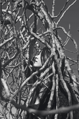 Tree / Landscapes  photography by Photographer Ana Sioux ★3 | STRKNG