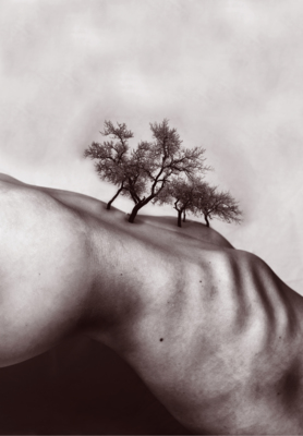 Landscape of mine 2 / Photomanipulation  Fotografie von Fotografin Ana Sioux ★3 | STRKNG