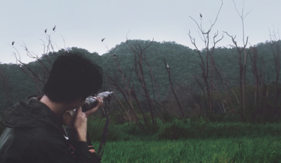 Bang!? / Wildlife  Fotografie von Fotograf look kon lek | STRKNG