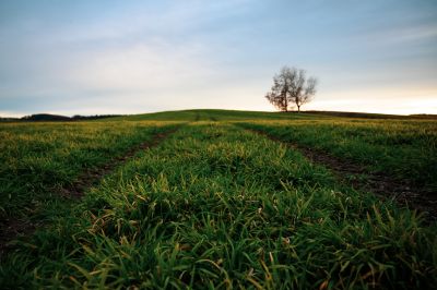 Graslandschaft / Landscapes  Fotografie von Fotograf Thomas Lottermoser ★6 | STRKNG