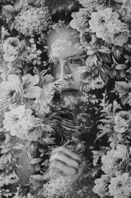 Flowers / Fine Art  Fotografie von Fotografin Michelle ★3 | STRKNG