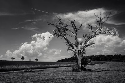 Landscapes  Fotografie von Fotograf Thomas Gauck ★7 | STRKNG