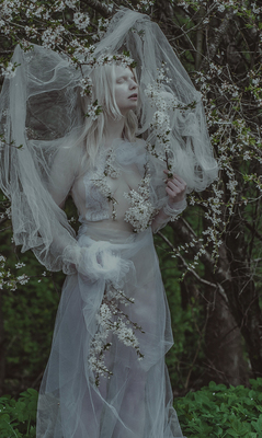 white blooming / Fine Art  Fotografie von Fotografin JelenaOsmolovska ★5 | STRKNG
