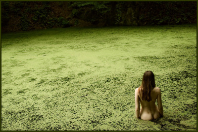 märchensee / Nude  Fotografie von Fotograf herr stocker | STRKNG