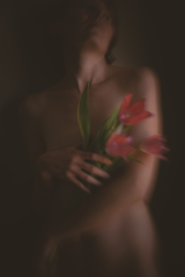 tulips / Fine Art  Fotografie von Fotografin Marlize ★1 | STRKNG