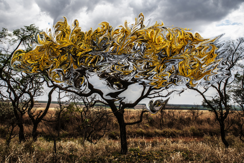 Dissolved - &copy; Bruno Colli | Landscapes