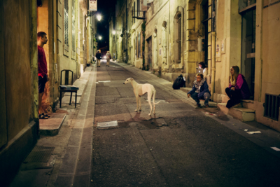 ice cut in half / Street  Fotografie von Fotograf Riccardo Bandiera ★4 | STRKNG