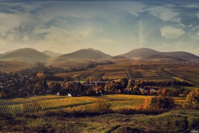 Germany's Tuscany / Landscapes  Fotografie von Fotografin Leni Papilio ★3 | STRKNG