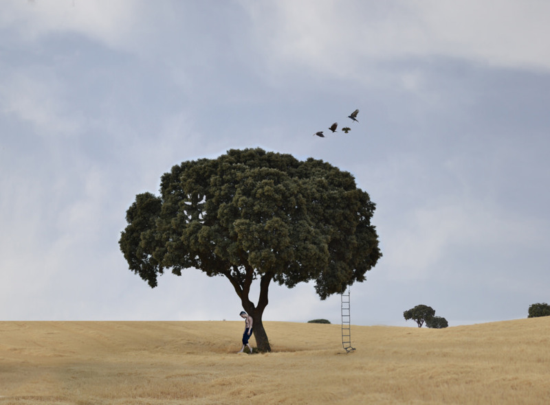 LA CASA DEL ÁRBOL - &copy; Rafa Macías (Oroyplata) | Nature