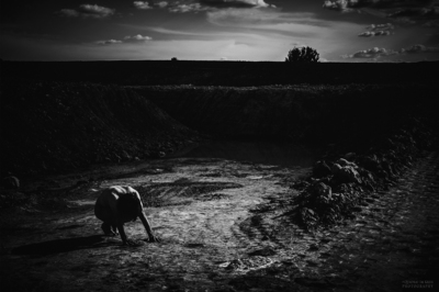 Krater / People  photography by Model John-Erik ★8 | STRKNG