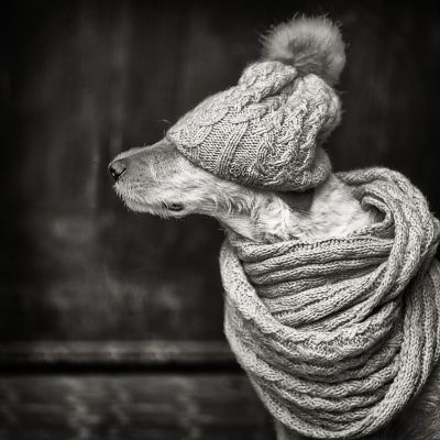 winter / Portrait  photography by Photographer hady ★7 | STRKNG