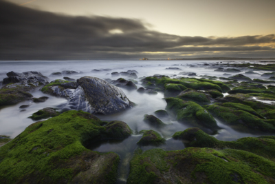 Unicorn / Wasserlandschaften  Fotografie von Fotograf João Freire ★4 | STRKNG