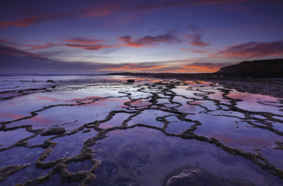 Magic Carpet / Wasserlandschaften  Fotografie von Fotograf João Freire ★4 | STRKNG