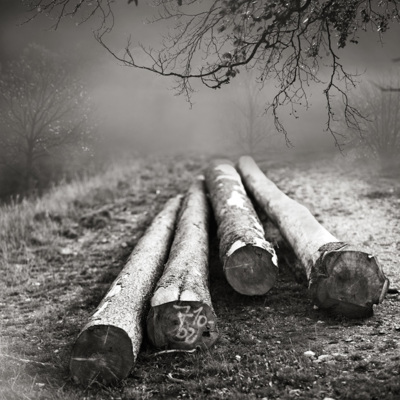 untitled / Fine Art  photography by Photographer Eric Frey ★6 | STRKNG