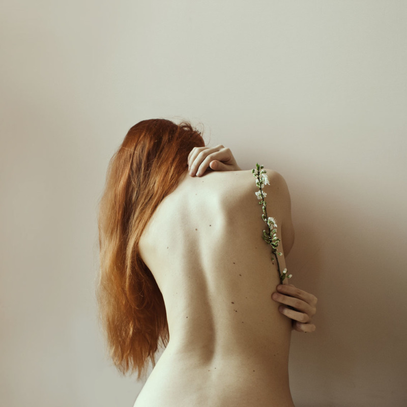 Plum Blossoms - &copy; Elisa Scascitelli | Nude