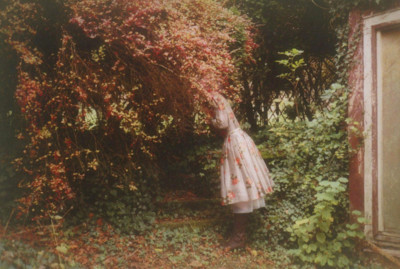 Red Tree / Fine Art  Fotografie von Fotografin SoWiL(d) ★2 | STRKNG