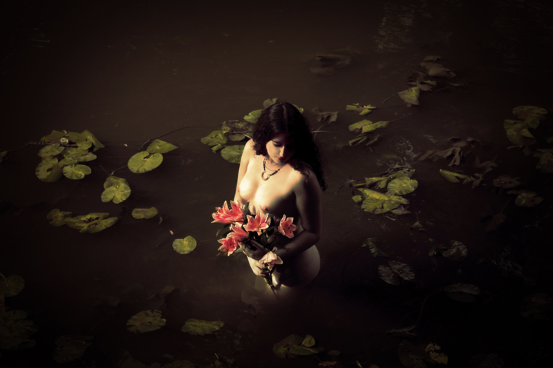 Dying Lilies - &copy; Memories of Violette | Fine Art