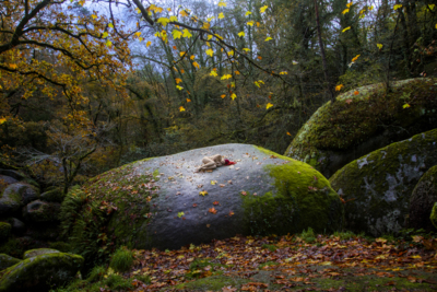 Huelgoat / Fine Art  Fotografie von Fotografin Memories of Violette | STRKNG