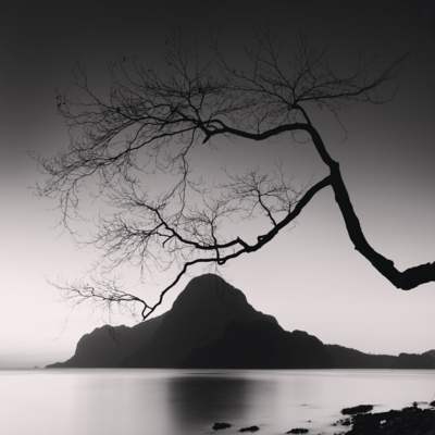 Silence / Wasserlandschaften  Fotografie von Fotograf Rafal Krol ★5 | STRKNG