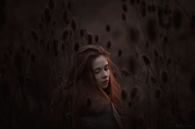 Thistlelight / Portrait  Fotografie von Fotografin Atemlos Träumen ★6 | STRKNG