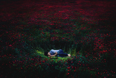 Crop circle / Nature  photography by Photographer Nadæc ★4 | STRKNG
