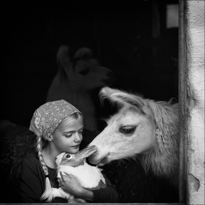 vertraut und beschnuppert / Schwarz-weiss  Fotografie von Fotograf Andreas Schaarschmidt ★6 | STRKNG