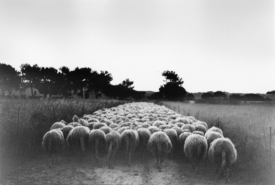 Torre Sant'Emiliano, Lecce / Schwarz-weiss  Fotografie von Fotograf Experience ★3 | STRKNG