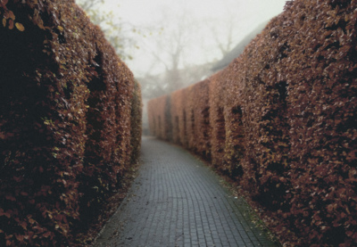 Natur  Fotografie von Fotograf Marco Bekk ★1 | STRKNG