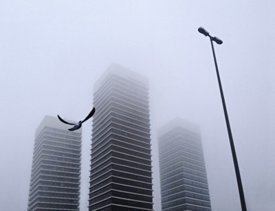 shaky towers / Architektur  Fotografie von Fotograf Marco Bekk ★1 | STRKNG