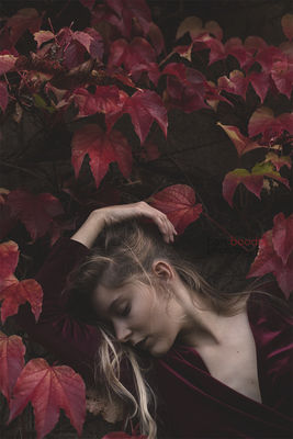 Red Feel / Fine Art  Fotografie von Fotograf Bart Boodts Photography ★3 | STRKNG