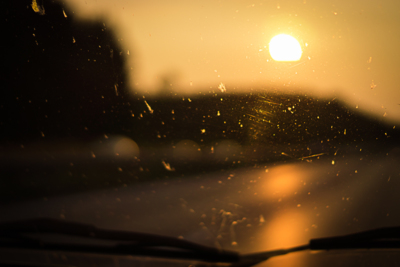 Road Trip / Reise  Fotografie von Fotograf DH-Picture | STRKNG