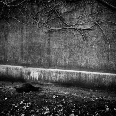 ... / Schwarz-weiss  Fotografie von Fotografin Alicja Brodowicz ★25 | STRKNG